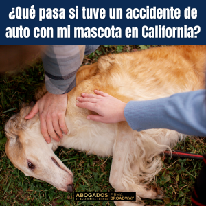 abogado-accidente-auto-mascota-herida