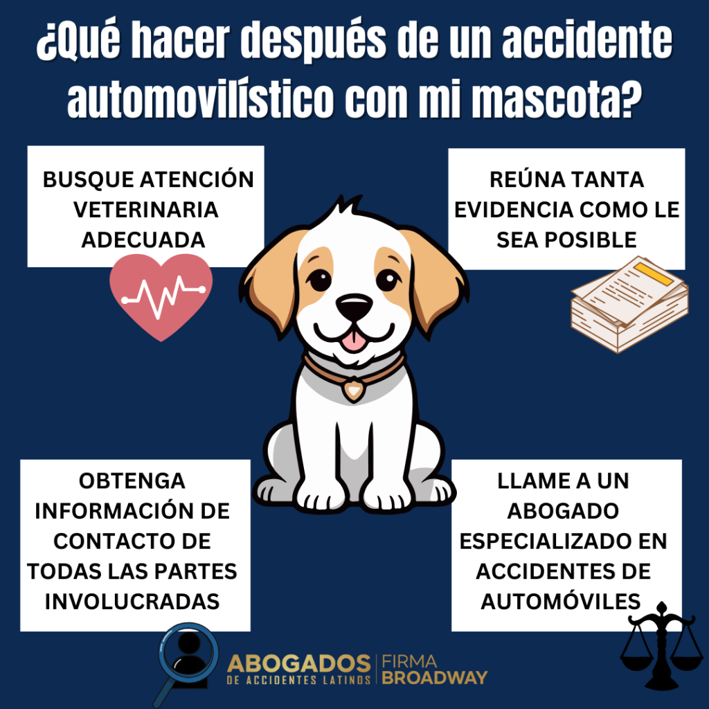 abogado-accidente-auto-mascota-herida